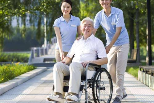 智能养老蓝皮书：华龄健康365工程促进养老服务产业发展